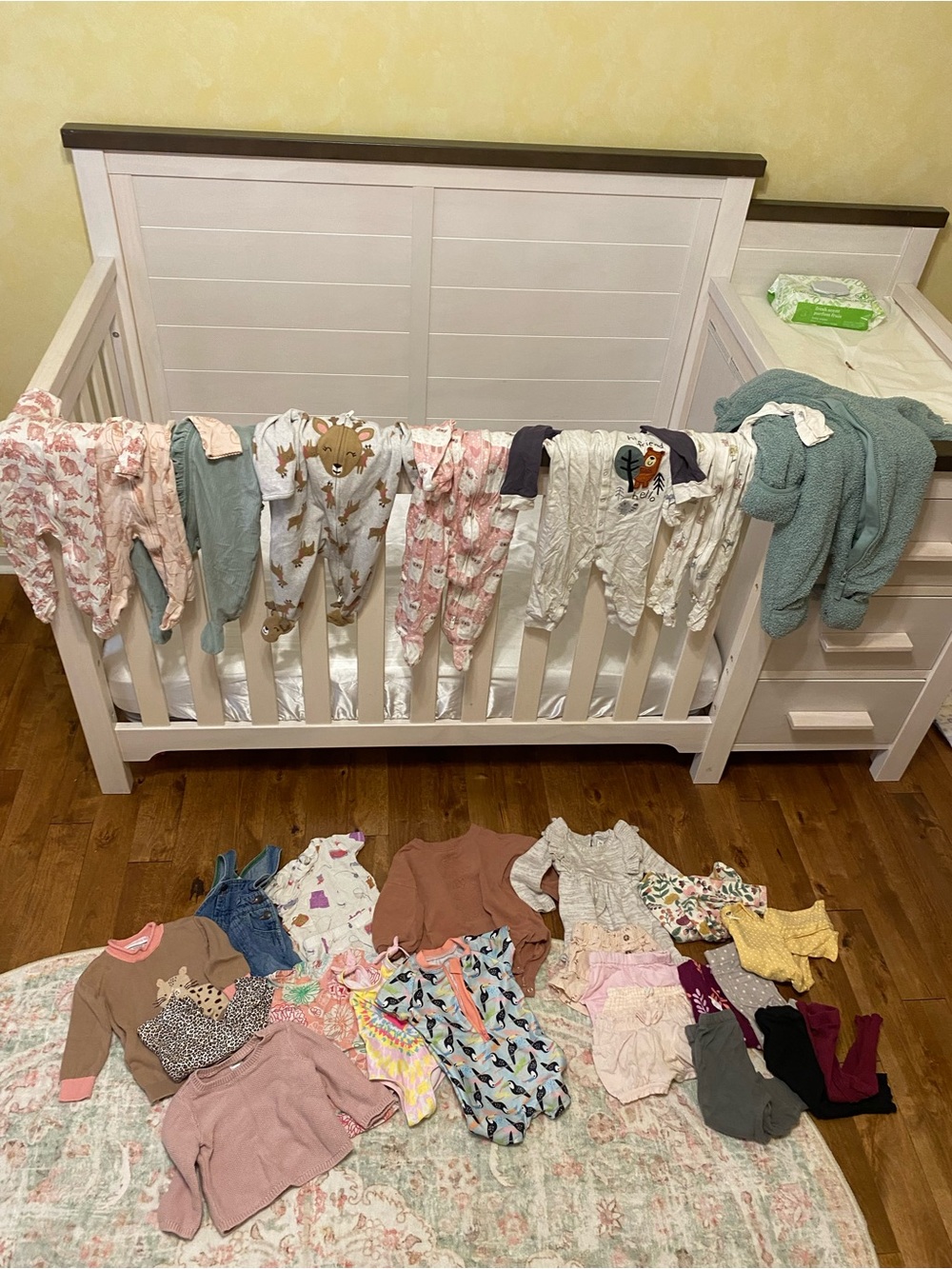 Baby Girl Clothing Bundle